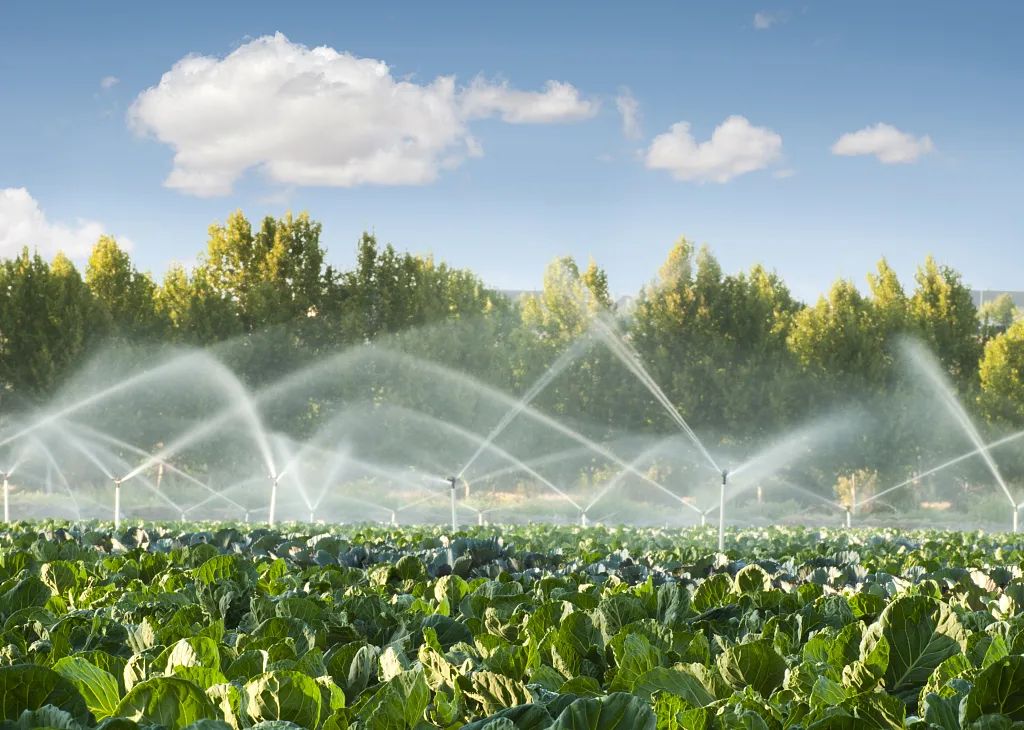 天津市寧河區積極推進農業節水灌溉工作 增產增